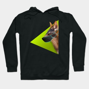 Cautious Fox Hoodie